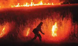 EEUU: incendios forestales azotan el norte de California