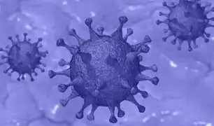 Covid-19: Coronavirus podría permanecer activo en la piel durante nueve horas
