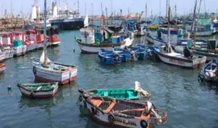 Vizcarra felicita a pescadores artesanales: “Por su arduo trabajo durante pandemia”