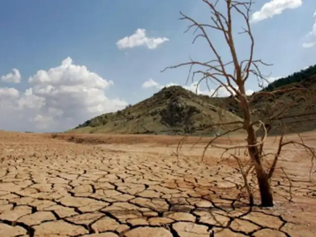 Día Mundial contra la Desertificación: en 5 años se perdieron 3,3 millones de hectáreas forestales, según ONU