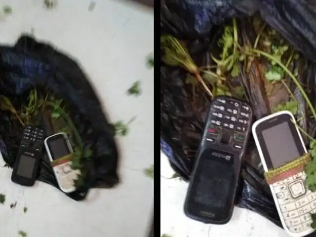 Tumbes: mujer trató de ingresar dos celulares camuflados en bolsa con culantro a penal