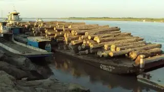 Loreto: detienen embarcaciones con cargamento de ilegal de madera