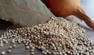 Apurímac: productores venden 22 toneladas de quinua a empresa francesa