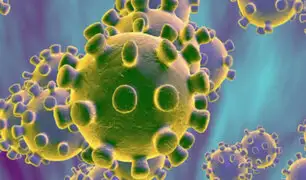 COVID-19: científicos identifican mutación del virus que se expandió por Europa