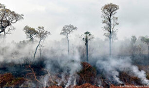 Bolivia: incendio forestal afecta 25 mil hectáreas de la Amazonía