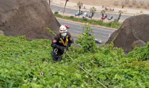 Costa Verde: tras varios minutos de tensión rescatan a mujer que cayó a acantilado