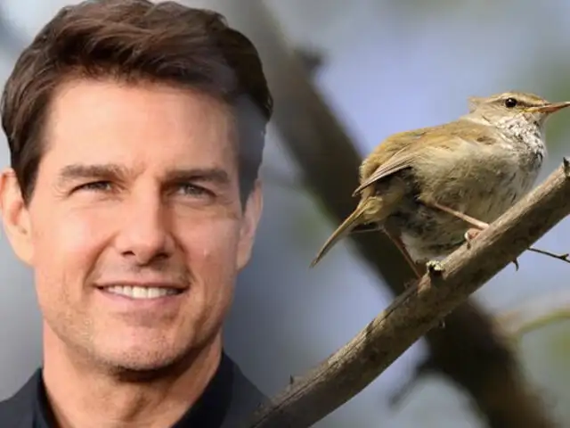 Tom Cruise revela su secreto para mantenerse joven