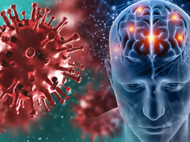 COVID-19: estudio señala que virus afecta el cerebro incluso en pacientes leves