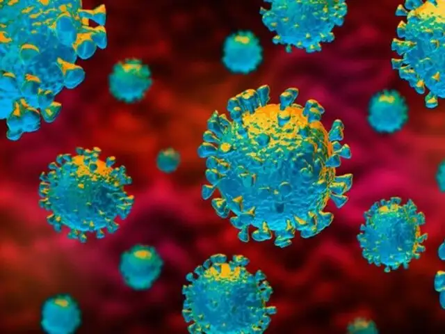 Coronavirus: 10 buenas noticias tras un año de pandemia