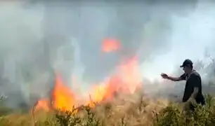 Incendio forestal en Huanta: fuego consume más de 2 mil hectáreas