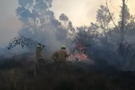 Áncash: incendio forestal arrasa 10 hectáreas de pastos naturales y bosques