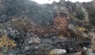 Incendios forestales en Áncash: siete sitios arqueológicos resultaron afectados