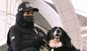 Dubái utiliza a perros para detectar COVID-19 en aeropuerto