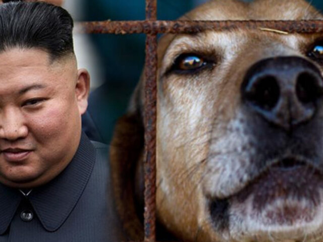 Corea del Norte: Kim Jong-un prohíbe los perros como mascotas