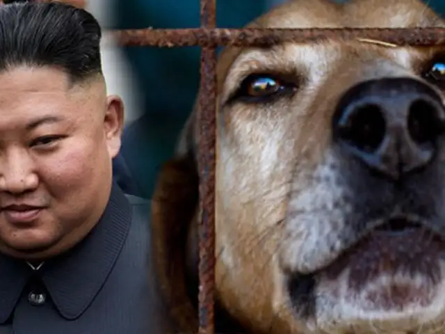 Corea del Norte: Kim Jong-un prohíbe los perros como mascotas