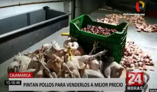 Cajamarca: pintaban pollos para venderlos a mayor precio