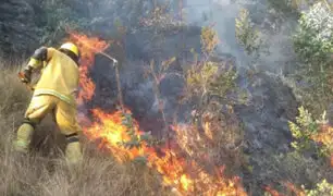 Incendios forestales arrasan con pastos naturales y cultivos agrícolas en Áncash