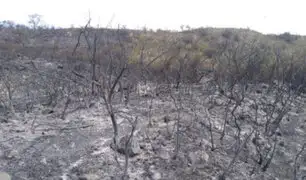 Tras dos días de intenso trabajo logran extinguir incendio forestal en Áncash