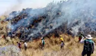 Arequipa perdió más de 2 mil hectáreas de pastizales y arbustos por incendios forestales