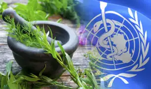 La OMS prueba plantas medicinales como receta contra el COVID-19