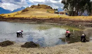 Áncash: autoridades y pobladores realizan jornada de limpieza en la laguna Wilcacocha