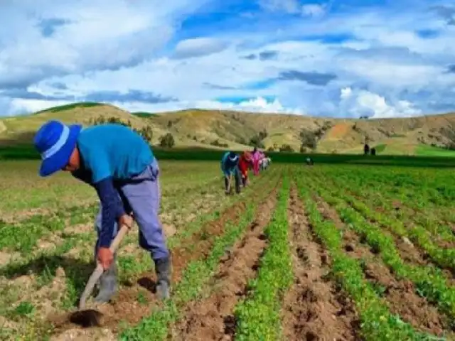 Perú destinó más de S/ 4000 millones para reactivar el agro