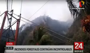 Junín: incendios forestales consumen bosques y hacen peligrar antenas de telefonía