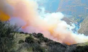 Huancavelica: mujer muere intentado apagar incendio forestal que consumía sus sembríos