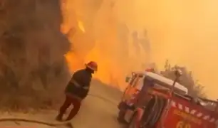 Incendio forestal afecta varias hectáreas de cultivo y viviendas en la región Áncash