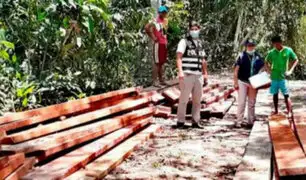 PNP incautan 6,000 mil pies tablares de madera de origen ilegal en Yurimaguas