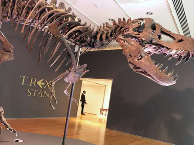 Esqueleto de T-Rex es subastado por más de 30 millones de dólares