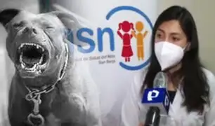 Perro Pitbull desfigura a niña de seis años en La Victoria