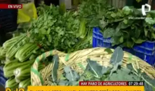 Precios de hortalizas se disparan en más de 400% en Lima