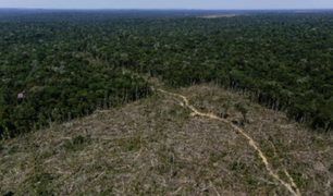 La deforestación en la Amazonía brasileña alcanza su nivel más alto en los últimos 12 años