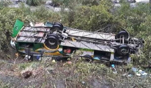 Brasil: al menos 14 personas murieron al caer bus turístico  de un puente