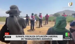 Sunafil inspecciona empresas agroindustriales tras denuncias de abuso laboral en Ica