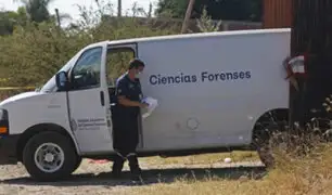 Conmoción en México: descubren más de 130 cadáveres en una fosa clandestina