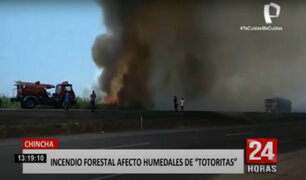 Chincha: incendio forestal llegó y afectó humedales de Totoritas