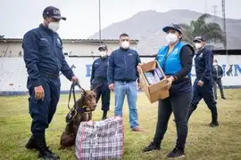 Brigada canina de la MML reforzará campaña de sensibilización contra la pirotecnia