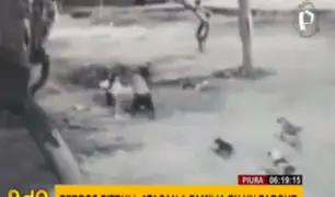 Piura: jauría de pitbulls ataca a familia cuando descansaba en parque