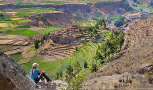 Arequipa: hasta el 31 de enero amplían ingreso libre al valle del Colca