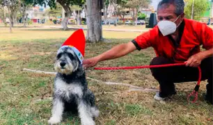 Navidad canina: organizan colorido concurso de disfraces navideños
