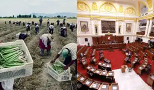 Congreso: Reacciones tras aprobación de la nueva ley del régimen laboral agrario