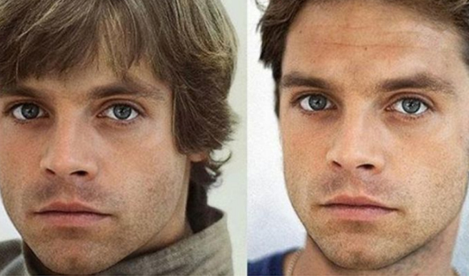Star Wars: Sebastian Stan, el posible nuevo Luke Skywalker ...