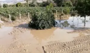 Agricultores perjudicados tras desborde del río Ica
