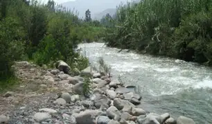 Policía Nacional, FFAA y serenos vigilan ribera del río Lurín para evitar presencia de bañistas