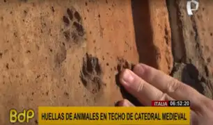 Italia: aparecen huellas de animales en techo de catedral medieval de Florencia