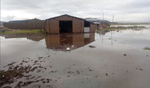 Viviendas, cultivos y caminos  resultaron afectados por desborde del  río Vilque en Puno