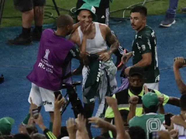 Palmeiras conquistó su segunda Copa Libertadores: venció 1-0 a Santos en el Maracaná