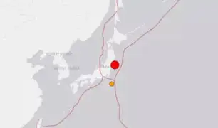 Japón: al menos 20 heridos tras terremoto de magnitud 7.1